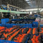 gloves bulk production